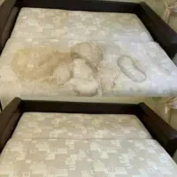 مبل شویی امیر محمد مبلشویی با مواد ناتو در منزل|خدمات نظافت|تبریز, |دیوار