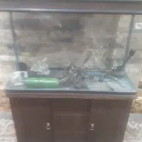 اکواریوم شیشه خم