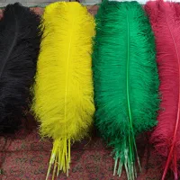 رنگ پر شستشو پر علامت علم حجله