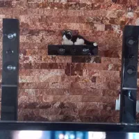 تلویزیون و سینمای خانگی|تلویزیون و پروژکتور|پرند, فاز ۶|دیوار