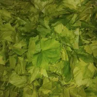 گل گیاه طبیعی