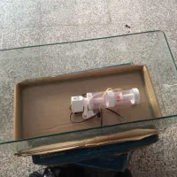 اکواریوم و پمپ تصفیه و اکسیژن