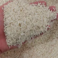 برنج هاشمی دو الکه گیلان