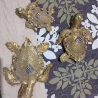 لاک پشت دیواری