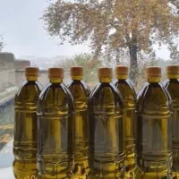 فروش روغن زیتون اصل رودبار