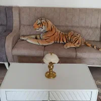 جلو مبلی|مبلمان خانگی و میز عسلی|شهریار, فرارت|دیوار