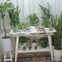 پایه گل سالم