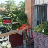 سبزی فروشی اردبیل|حراج|تالش, هشتپر|دیوار