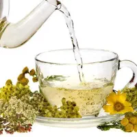 دمنوش برای کلیه و کبد چاقی لاغری