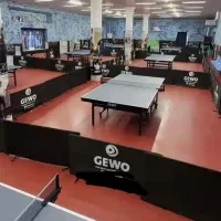 باشگاه و آکادمی پینگ پنگ تائبی پور(تنیس روی میز)