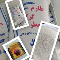 برنج طارم گرگان