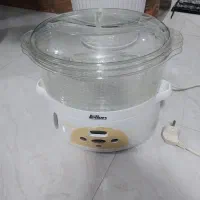 بخار پز فلر