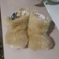 پاپوش خزدار