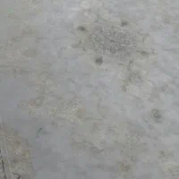 فرش 9 متری 1000 شانه 3000 تراکم در حد نو