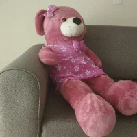 شاسخین زیبا و خوشرنگ در حد نونونو|اسباب‌‌بازی|اصفهان, شاهد|دیوار