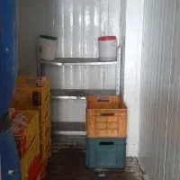 فروش  سردخانه تک فاز موتور بیتزر