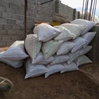 کود گوسفندی درجه یک کاملا خشک|خدمات باغبانی و درختکاری|طالقان, |دیوار