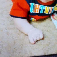 فروش ۲جفت موکت پالاز|موکت|خرمشهر, |دیوار