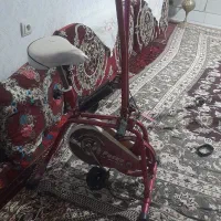 دوچرخه ورزشی ثابت