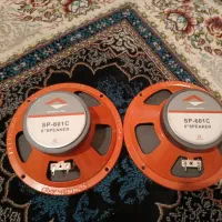 میدرنج ۶. ساپ مدل تی تی سایز 15