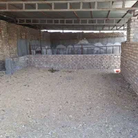 گاوداری-دامداری