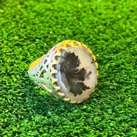 نقره شجر اصل