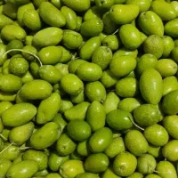 زیتون سبز