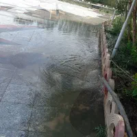 چاه کن ماهر وحرفه‌ای 7 سال سابقه کاری با اکیب مجرب|خدمات پیشه و مهارت|اردبیل, |دیوار