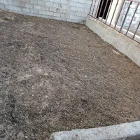 کود میش