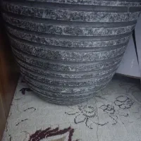 یثدل|حراج|تربت جام, مطهری|دیوار
