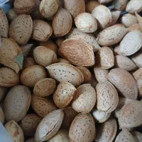بادام .آلو .ولواشک  ترش ملس