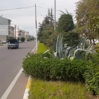 ملک ارزان فروش فوری ۳میلیارد و ۴۰۰سنگر گیلان