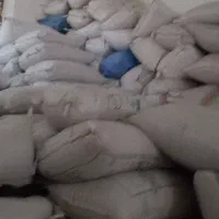 گندم ساورز