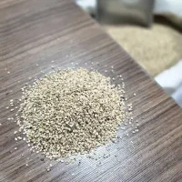 کنجد پاکستانی کنجد ارده کنجد روغنگیری