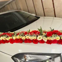 ماشین عروس و انواع باکس گل|گل و گیاه طبیعی|تهران, افسریه شمالی|دیوار