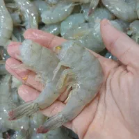 ماهی ومیگو|خوردنی و آشامیدنی|چغادک, |دیوار
