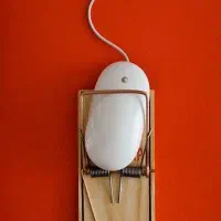 بازگردانی فوری پیج دیسیبل شده و هک‌شده اینستاگرام|خدمات رایانه‌ای و موبایل|رشت, گلسار|دیوار