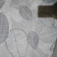 ۲تاموکت سالم