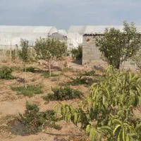 فروش باغچه در خسرو آباد|فروش زمین و ملک کلنگی|نظرآباد, خسروآباد|دیوار