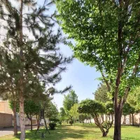مجتمع آسمان پونک۷۰متر تک خواب