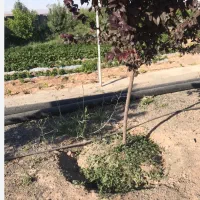 زمین-1000متری