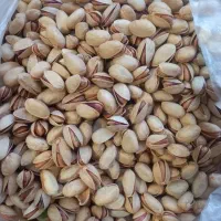 پسته عباس علی