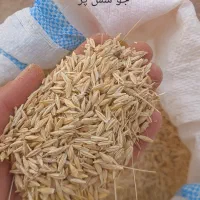 جو شش پر آبی