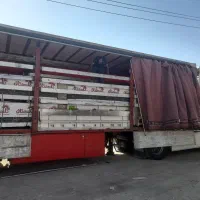 به یک نفر نیرو جهت انبار ام دی اف نیازمندیم|استخدام صنعتی، فنی، مهندسی|نیشابور, فخریه|دیوار