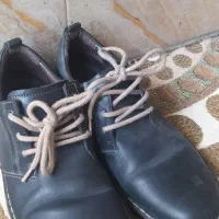 کفش مردانه|کیف، کفش، کمربند|سنندج, |دیوار