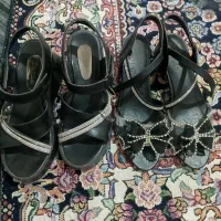 کفش هادرحدنو نو هرکدوم ۳۵۰