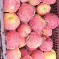 فروش تعداد ۷۵ عدد سیب قرمز در سردخانه