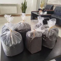 چای لاهیجان