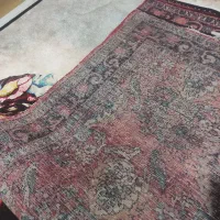 قالی کوردی|فرش|سنندج, |دیوار