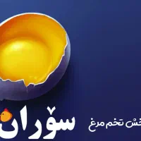 پخش تخم مرغ